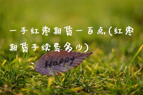 一手红枣期货一百点(红枣期货手续费多少)_https://www.zztgc.com_期货入门_第1张