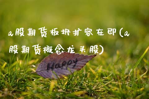a股期货板块扩容在即(a股期货概念龙头股)_https://www.zztgc.com_期货入门_第1张