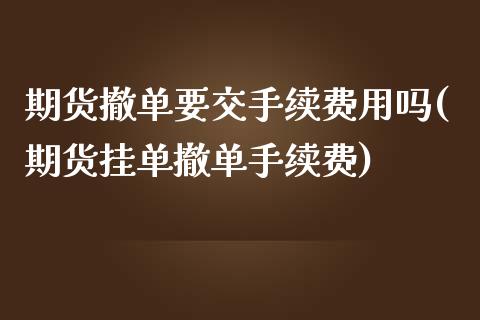 期货撤单要交手续费用吗(期货挂单撤单手续费)_https://www.zztgc.com_原油期货_第1张