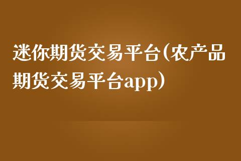 迷你期货交易平台(农产品期货交易平台app)_https://www.zztgc.com_期货行情_第1张