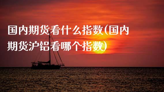 国内期货看什么指数(国内期货沪铝看哪个指数)_https://www.zztgc.com_期货直播_第1张