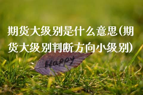 期货大级别是什么意思(期货大级别判断方向小级别)_https://www.zztgc.com_原油期货_第1张