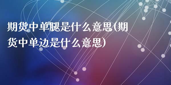 期货中单腿是什么意思(期货中单边是什么意思)_https://www.zztgc.com_期货入门_第1张
