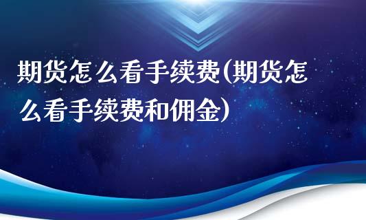 期货怎么看手续费(期货怎么看手续费和佣金)_https://www.zztgc.com_期货入门_第1张
