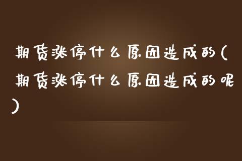 期货涨停什么原因造成的(期货涨停什么原因造成的呢)_https://www.zztgc.com_期货入门_第1张
