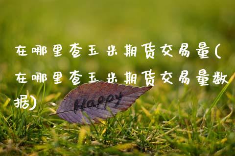 在哪里查玉米期货交易量(在哪里查玉米期货交易量数据)_https://www.zztgc.com_期货行情_第1张