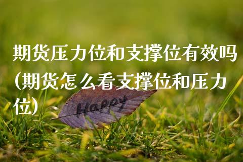 期货压力位和支撑位有效吗(期货怎么看支撑位和压力位)_https://www.zztgc.com_期货直播_第1张
