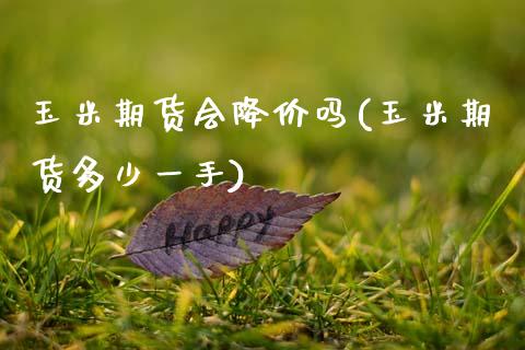 玉米期货会降价吗(玉米期货多少一手)_https://www.zztgc.com_期货行情_第1张