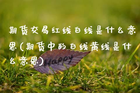 期货交易红线白线是什么意思(期货中的白线黄线是什么意思)_https://www.zztgc.com_期货直播_第1张
