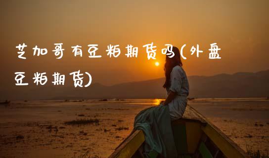 芝加哥有豆粕期货吗(外盘豆粕期货)_https://www.zztgc.com_期货入门_第1张