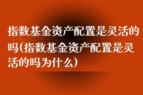 指数基金资产配置是灵活的吗(指数基金资产配置是灵活的吗为什么)_https://www.zztgc.com_黄金期货_第1张