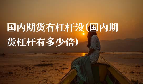 国内期货有杠杆没(国内期货杠杆有多少倍)_https://www.zztgc.com_期货行情_第1张
