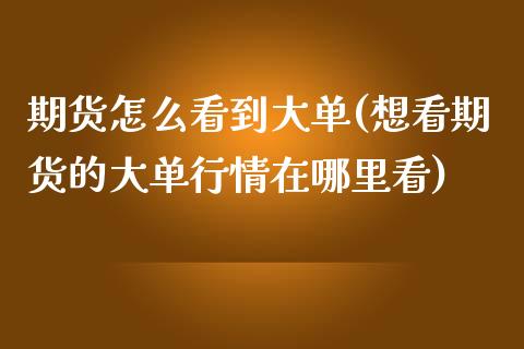 期货怎么看到大单(想看期货的大单行情在哪里看)_https://www.zztgc.com_期货入门_第1张