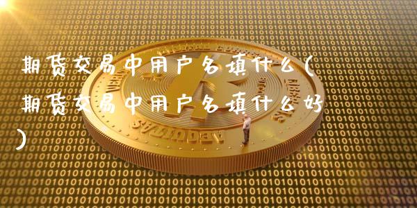 期货交易中用户名填什么(期货交易中用户名填什么好)_https://www.zztgc.com_原油期货_第1张