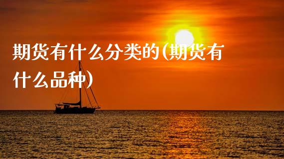 期货有什么分类的(期货有什么品种)_https://www.zztgc.com_原油期货_第1张