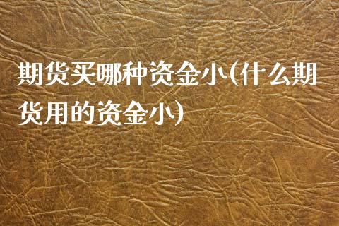 期货买哪种资金小(什么期货用的资金小)_https://www.zztgc.com_期货行情_第1张