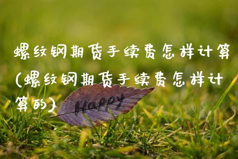 螺纹钢期货手续费怎样计算(螺纹钢期货手续费怎样计算的)_https://www.zztgc.com_原油期货_第1张