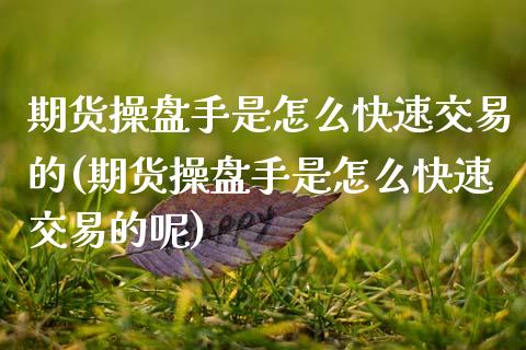期货操盘手是怎么快速交易的(期货操盘手是怎么快速交易的呢)_https://www.zztgc.com_期货直播_第1张