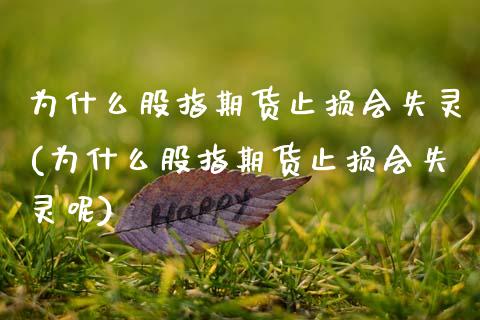 为什么股指期货止损会失灵(为什么股指期货止损会失灵呢)_https://www.zztgc.com_黄金期货_第1张