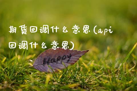 期货回调什么意思(api回调什么意思)_https://www.zztgc.com_原油期货_第1张