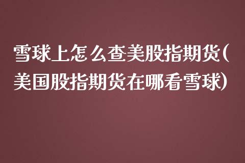 雪球上怎么查美股指期货(美国股指期货在哪看雪球)_https://www.zztgc.com_原油期货_第1张