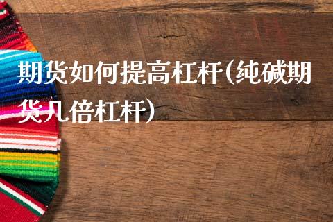 期货如何提高杠杆(纯碱期货几倍杠杆)_https://www.zztgc.com_期货直播_第1张