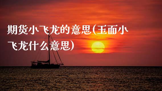 期货小飞龙的意思(玉面小飞龙什么意思)_https://www.zztgc.com_期货开户_第1张