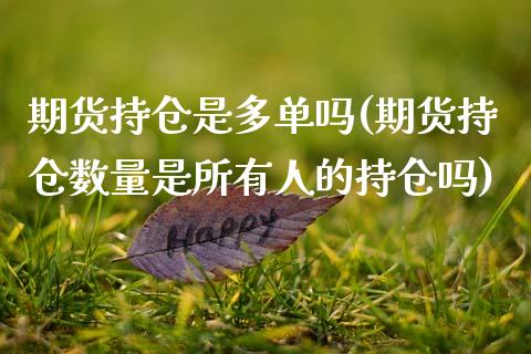 期货持仓是多单吗(期货持仓数量是所有人的持仓吗)_https://www.zztgc.com_期货直播_第1张