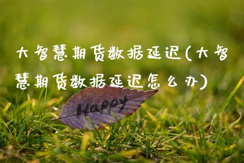 大智慧期货数据延迟(大智慧期货数据延迟怎么办)_https://www.zztgc.com_黄金期货_第1张