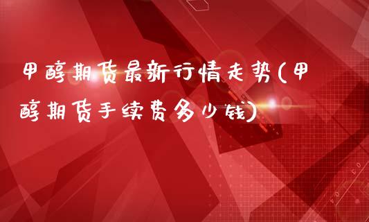 甲醇期货最新行情走势(甲醇期货手续费多少钱)_https://www.zztgc.com_期货直播_第1张
