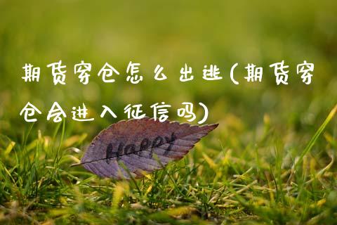 期货穿仓怎么出逃(期货穿仓会进入征信吗)_https://www.zztgc.com_期货直播_第1张