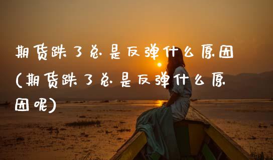期货跌了总是反弹什么原因(期货跌了总是反弹什么原因呢)_https://www.zztgc.com_期货入门_第1张