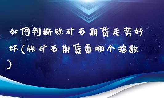 如何判断铁矿石期货走势好坏(铁矿石期货看哪个指数)_https://www.zztgc.com_原油期货_第1张
