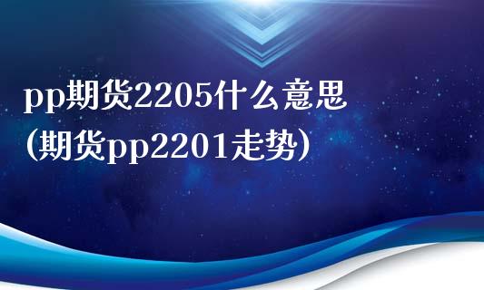 pp期货2205什么意思(期货pp2201走势)_https://www.zztgc.com_黄金期货_第1张