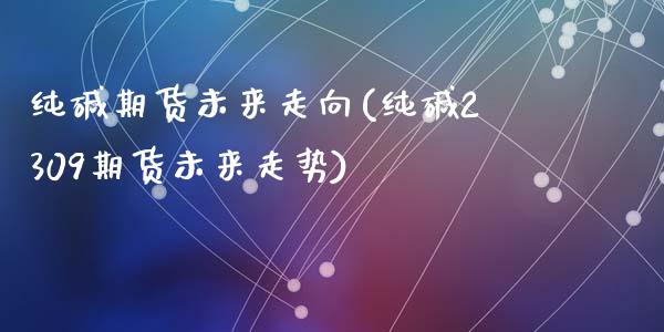 纯碱期货未来走向(纯碱2309期货未来走势)_https://www.zztgc.com_黄金期货_第1张