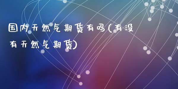 国内天然气期货有吗(有没有天然气期货)_https://www.zztgc.com_期货行情_第1张