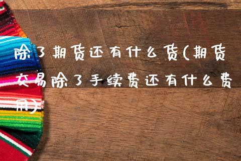除了期货还有什么货(期货交易除了手续费还有什么费用)_https://www.zztgc.com_原油期货_第1张