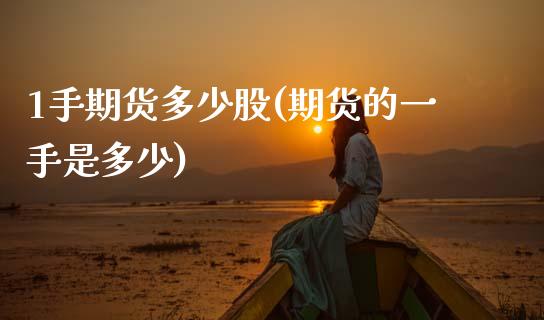 1手期货多少股(期货的一手是多少)_https://www.zztgc.com_黄金期货_第1张