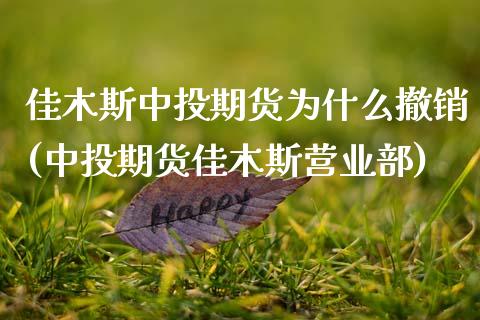 佳木斯中投期货为什么撤销(中投期货佳木斯营业部)_https://www.zztgc.com_期货入门_第1张
