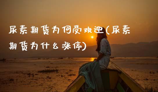 尿素期货为何受欢迎(尿素期货为什么涨停)_https://www.zztgc.com_黄金期货_第1张