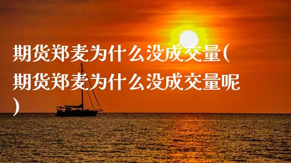 期货郑麦为什么没成交量(期货郑麦为什么没成交量呢)_https://www.zztgc.com_期货行情_第1张