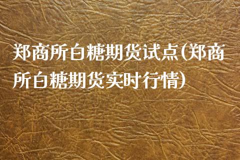 郑商所白糖期货试点(郑商所白糖期货实时行情)_https://www.zztgc.com_期货开户_第1张