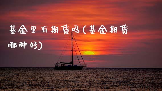 基金里有期货吗(基金期货哪种好)_https://www.zztgc.com_原油期货_第1张