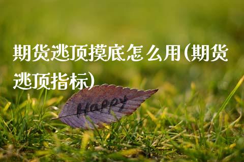 期货逃顶摸底怎么用(期货逃顶指标)_https://www.zztgc.com_期货开户_第1张