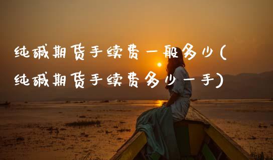 纯碱期货手续费一般多少(纯碱期货手续费多少一手)_https://www.zztgc.com_黄金期货_第1张