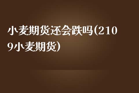 小麦期货还会跌吗(2109小麦期货)_https://www.zztgc.com_期货入门_第1张