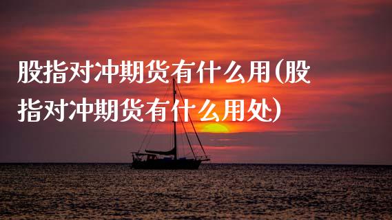 股指对冲期货有什么用(股指对冲期货有什么用处)_https://www.zztgc.com_期货直播_第1张