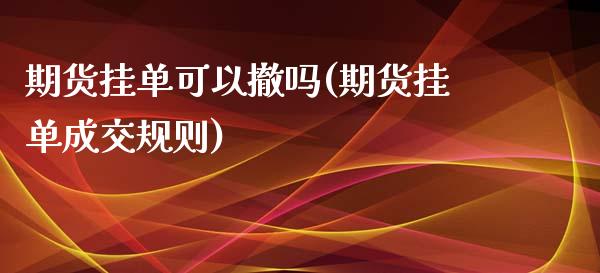 期货挂单可以撤吗(期货挂单成交规则)_https://www.zztgc.com_原油期货_第1张