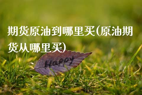 期货原油到哪里买(原油期货从哪里买)_https://www.zztgc.com_期货直播_第1张