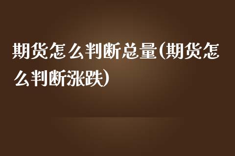 期货怎么判断总量(期货怎么判断涨跌)_https://www.zztgc.com_原油期货_第1张